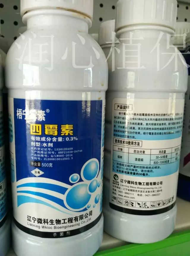 松脂酸铜琥珀酸铜 壬菌铜喹啉铜 噻森铜等 价格稍高 含铜低 更安全 花